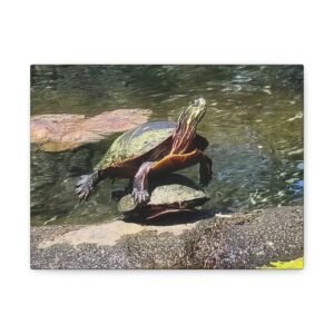 Basking in Sunlight: Red-Eared Slider Turtle in Natural Habitat, Freshwater Pond Wildlife Photography, Aquatic Reptile Ecosystem Scene Canvas Wall Art