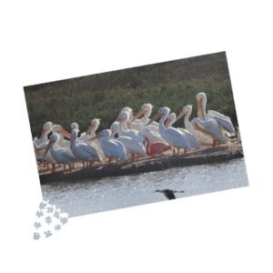 Texas Port A Leonabelle Lonely Flamingo and Pelicans Jigsaw Puzzle — Scenic Bird Photography Puzzle (110,252, 520, 1014 pcs)
