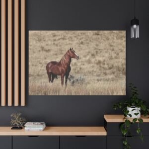 North Dakota Theodore Roosevelt National Park Wild Mustang Canvas; Chestnut Horse Photography Wall Art