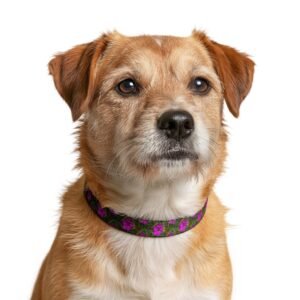 Floral Clip-On Pet Collar — Pink Wildflower Pattern for Dogs & Cats