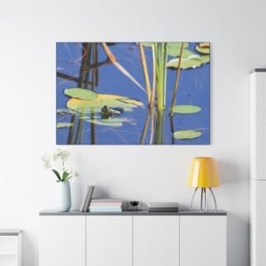 Frog in Wetland Waters Canvas, Wildlife Photography of Freshwater Marsh Habitat Wall Art