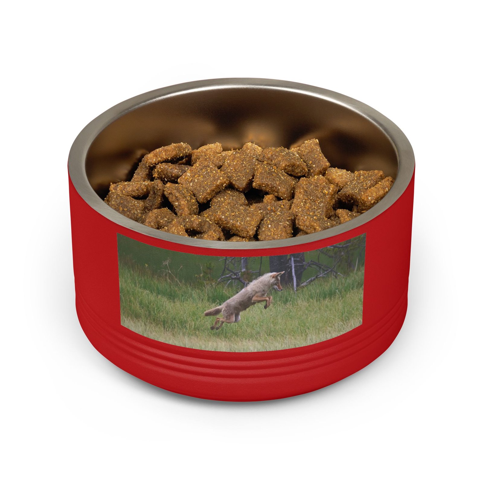 Stainless steel pet bowl featuring original wildlife photography of a coyote and prairie dog in a meadow by Nevin and Denise.