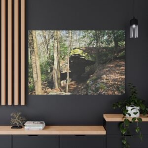 Woodland Cave Sanctuary Canvas: Moss-Covered Rock Shelter, Forest Landscape Photography Wall Art
