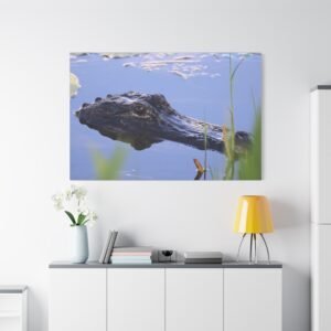 American Crocodile in Native Wetland Habitat Canvas, Wildlife Photography Wall Art