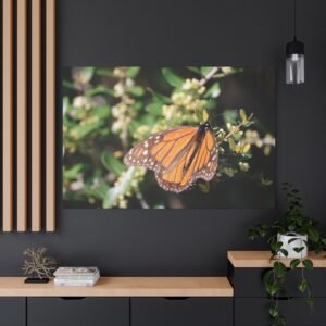 Monarch's Garden Feast Canvas: Macro Wildlife Photography, Butterfly on Wildflowers, Nature Close-up Wall Art