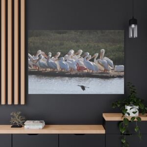 Texas Port A Leonabelle Lone Flamingo and Pelicans Canvas, Wildlife Photography Wall Art