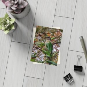 Mockingbird Postcard Bundles (envelopes included)