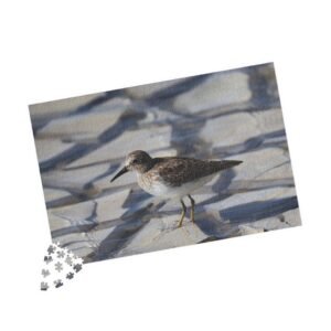 Texas Western Sandpiper Shorebird Beach Puzzle — Sandy Wading Bird Jigsaw (110, 252, 520, 1014 pcs)