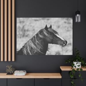 North Dakota Theodore Roosevelt National Park Wild Mustang Canvas: Black and White Equestrian Portrait Photography Wall Art