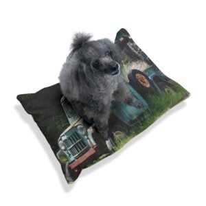 Vintage Truck Pet Bed — Rustic Blue Green Truck Print Dog & Cat Pillow