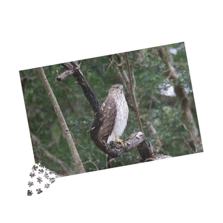 891358985204494894_2048-1