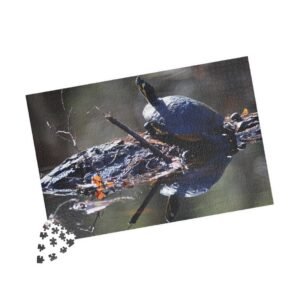 Turtle on Log Jigsaw Puzzle — Wildlife Nature Puzzle (110, 252, 520, 1014 pcs)
