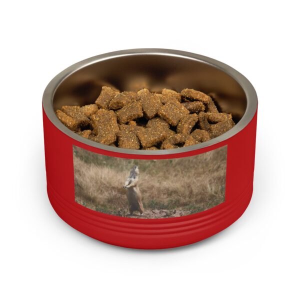 Coyote and prairie dog photography on an 18oz insulated pet bowl for small-to-medium dogs.