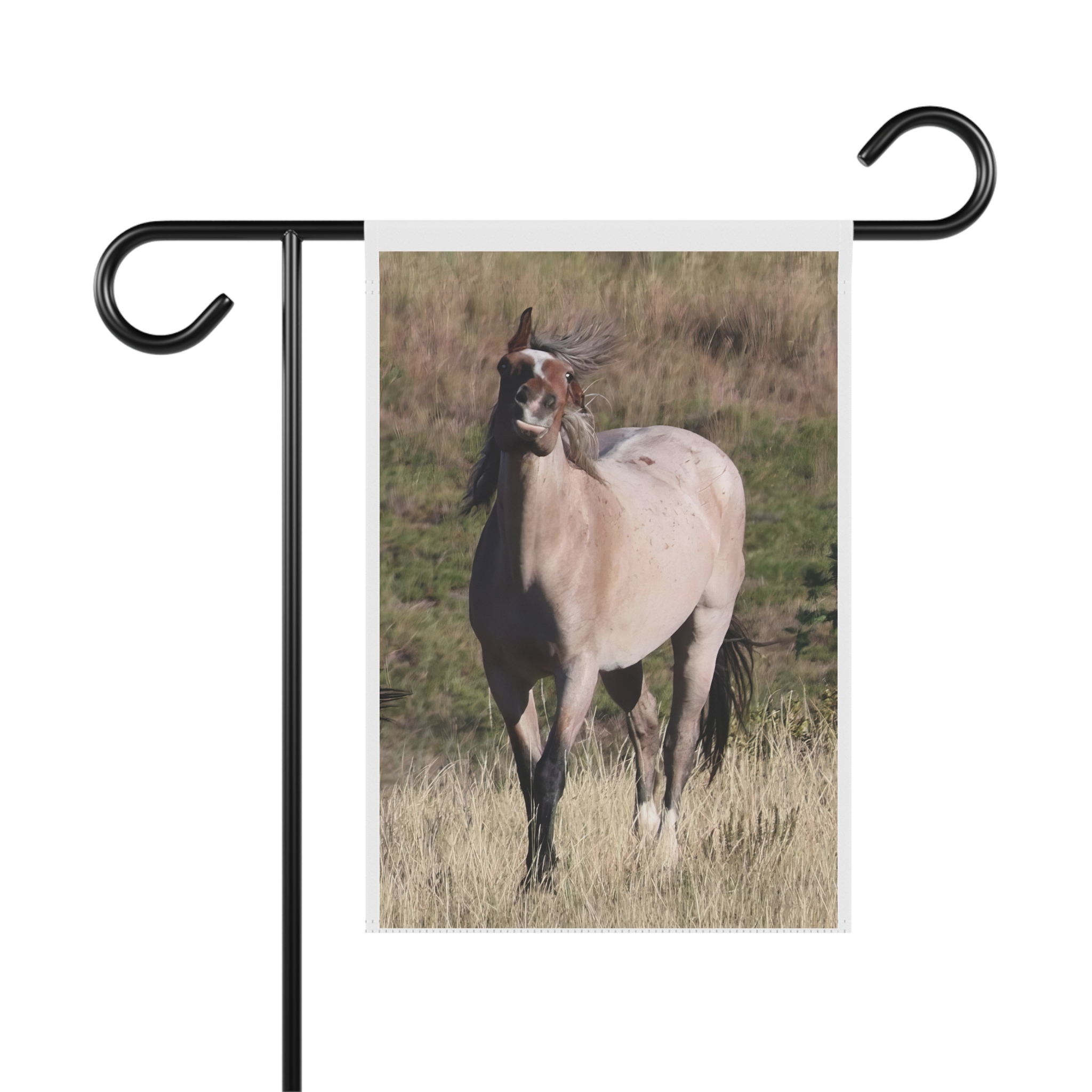 9610367514929721241_2048-1.jpeg