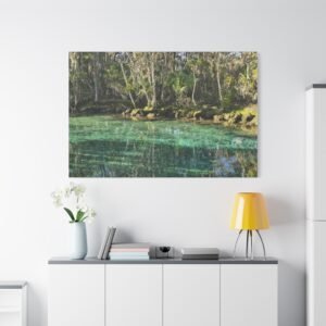 Florida Crystal River Canvas: Turquoise Spring Landscape, Natural Wetland Ecosystem Wall Art