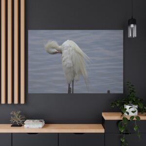 Great Egret Wildlife Photography Canvas, White Wading Bird Portrait, Nature Fine Wall Art
