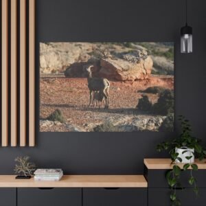 Desert Guardian Canvas: Mountain Goat Wildlife Photography, Arid Terrain and Rocky Landscape Wall Art