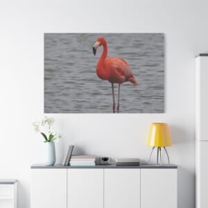 Texas Port A Lone Flamingo in Profile Canvas: Vibrant Wading Bird in Shallow Water, Nature Photography Wall Art