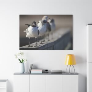 Black and White Seagulls Canvas: Wooden Railing, Wildlife Photography with Selective Focus Wall Art