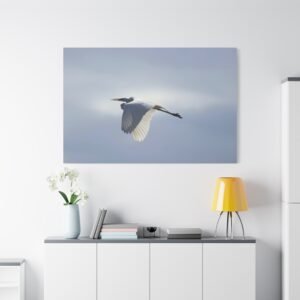 Graceful Wings in Flight Canvas: Great Egret Wildlife Photography, Nature Photography Wall Art