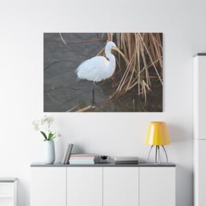 Elegant Hunter Canvas: Great Egret Wading in Marsh, Wildlife Photography Wall Art