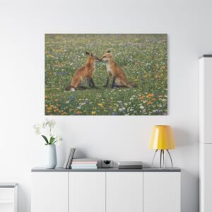 Urban Encounter Canvas: Red Foxes in the wildflowers, Wildlife Photography Wall Art