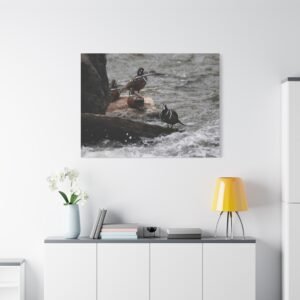 Harlequin Ducks on Rocky Shores Canvas: Turbulent Waves, Wildlife Photography Art