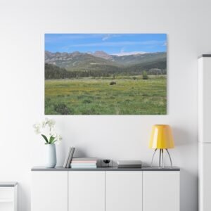 Wyoming Yellowstone Solitary Grazer Canvas: Alpine Meadow Wildlife, Mountain Landscape Wall Art