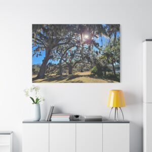 Georgia Fort Frederica Avenue of Oaks Canvas: Southern Live Oak Trees, Historic Wall Art