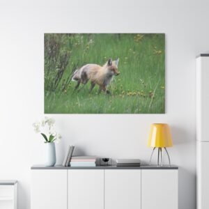 Meadow Wanderer Fox Canvas: Wildlife Photography Spring Grassland with Wildflowers and Sage Brush Wall Art
