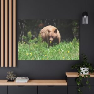 Alpine Forager Canvas: Cinnamon Black Bear in Wildflower Meadow, Wildlife Photography Wall Art