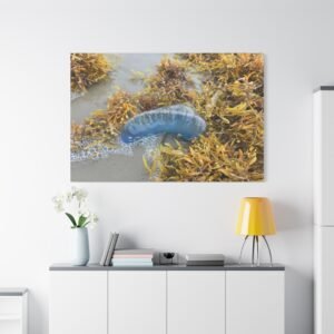 Man o' War Blue Sea Anemone Canvas: Marine Life Photography Wall Art